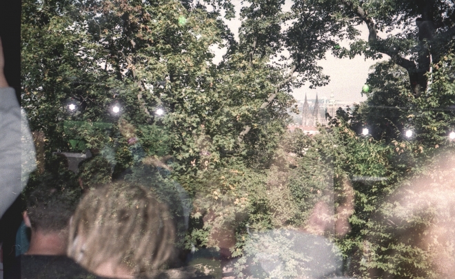 11 james cole, goat, m